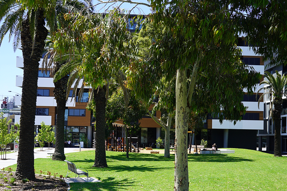 A grassy park on a sunny day with a 6 storey apartment building behind it