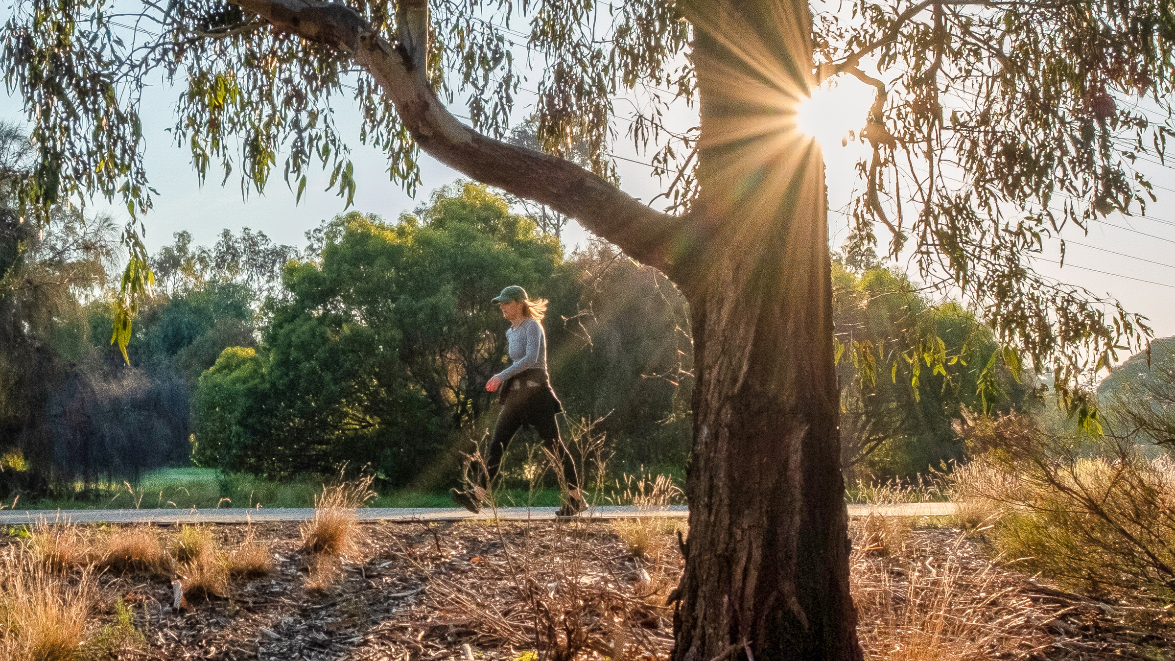 Image of person walking in local bushland setting with sun beaming through treats