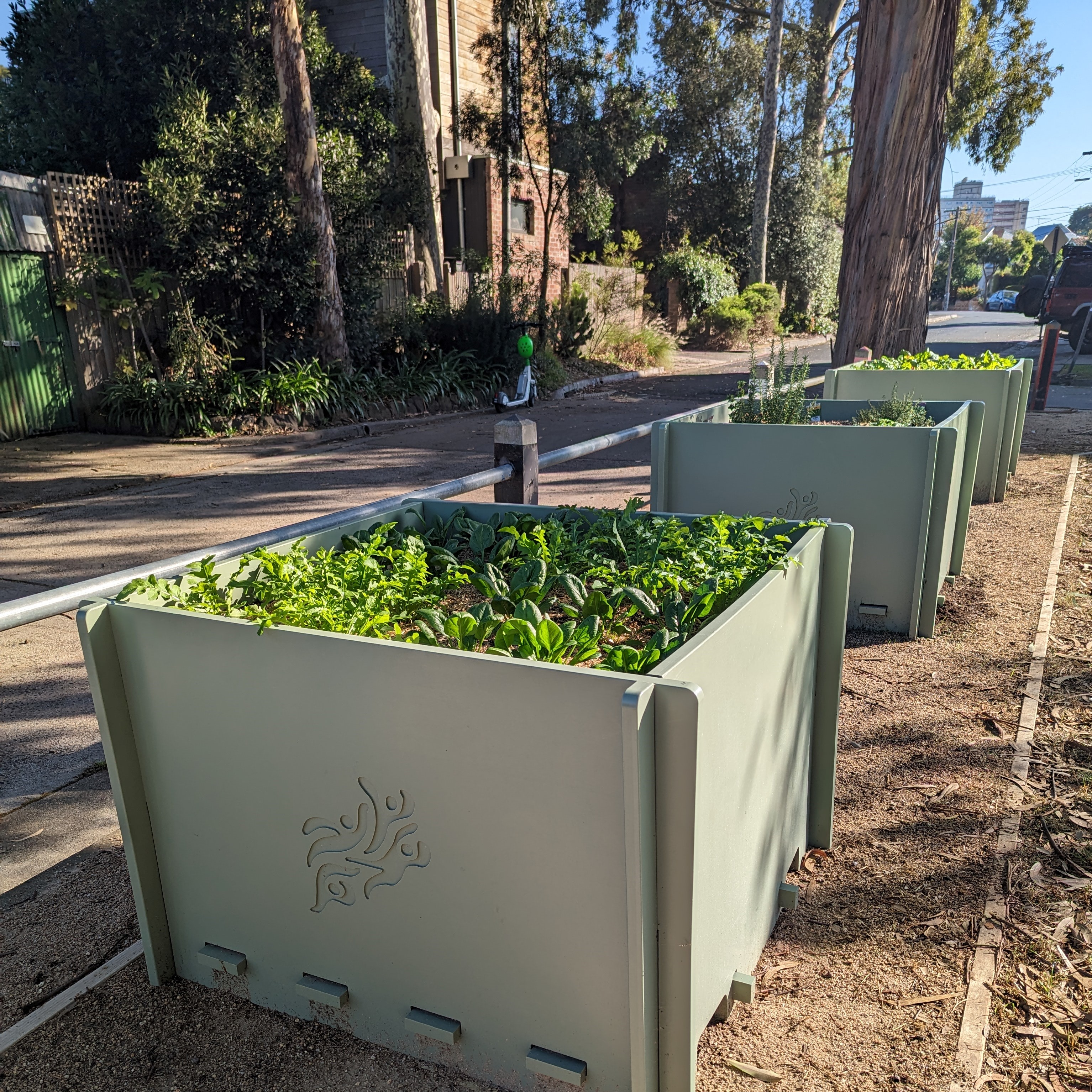 Planter boxes that are part of the Small Communal Growing Spaces trial. 