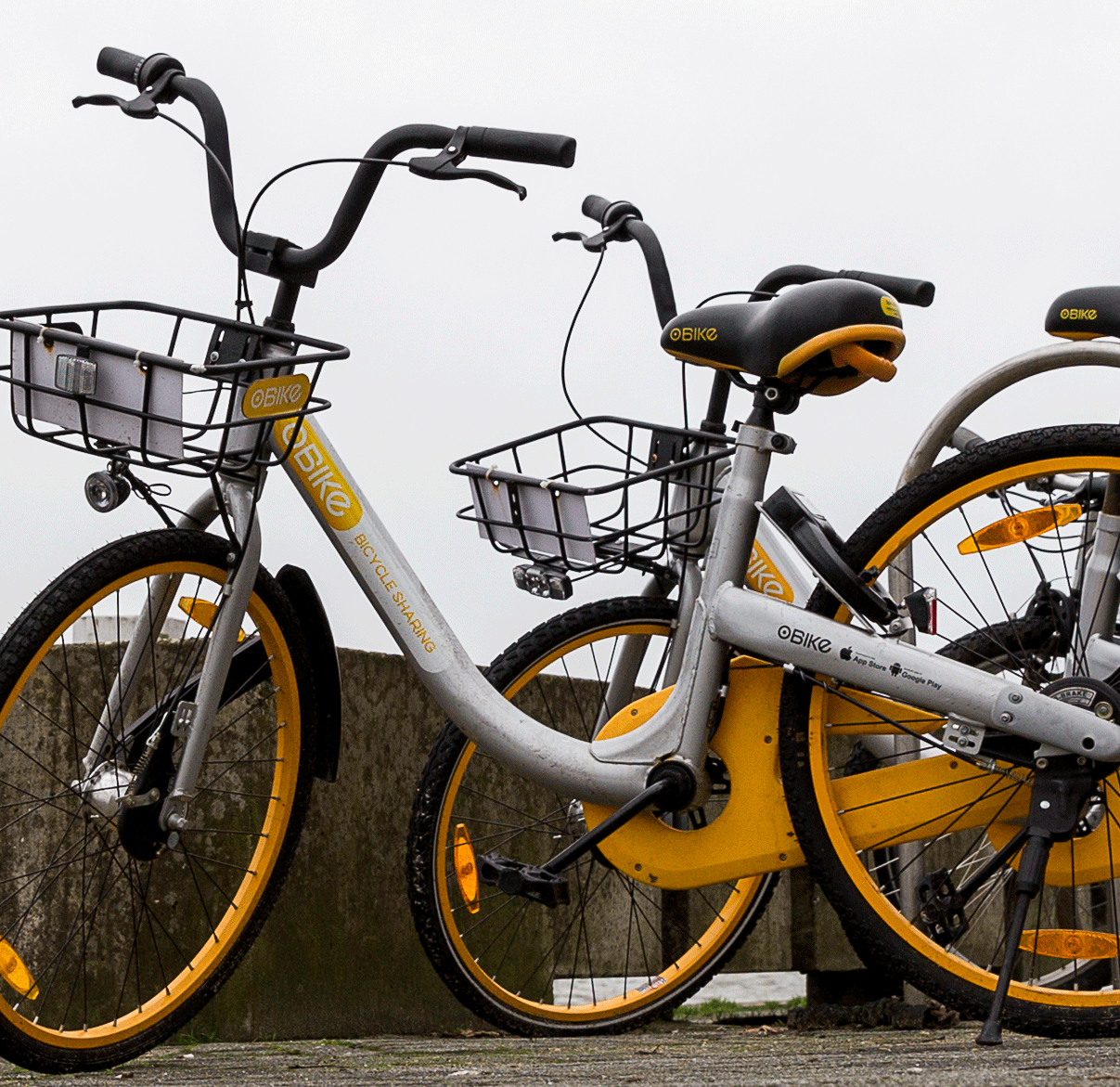 oBikes leaning against a low wall