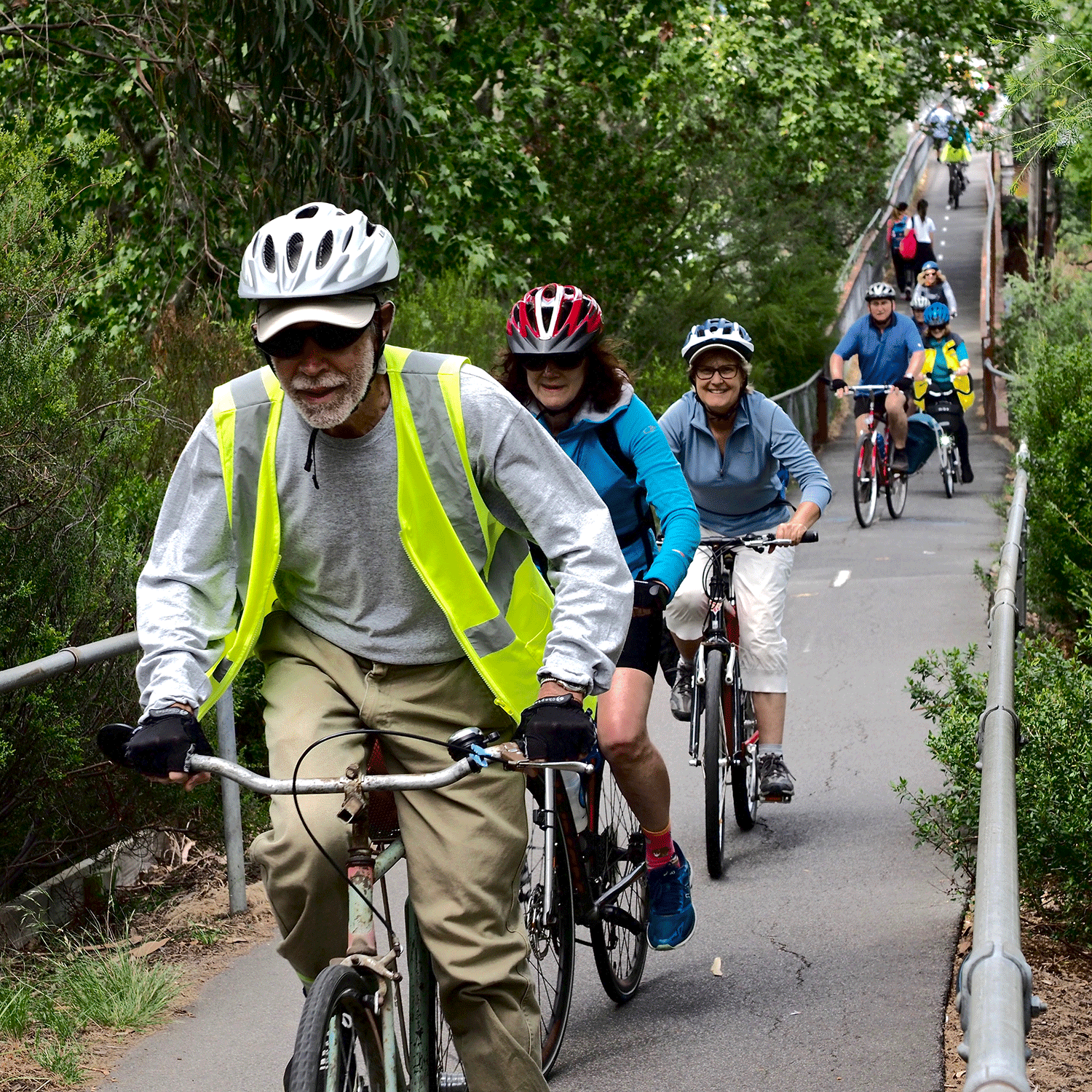 A group of cyclists ride up a hill in a line. The trail is surrounded by trees. 