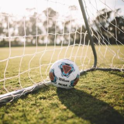 Soccer ball in goal net and lying on grass