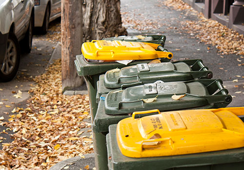 Bins on the street waiting collection