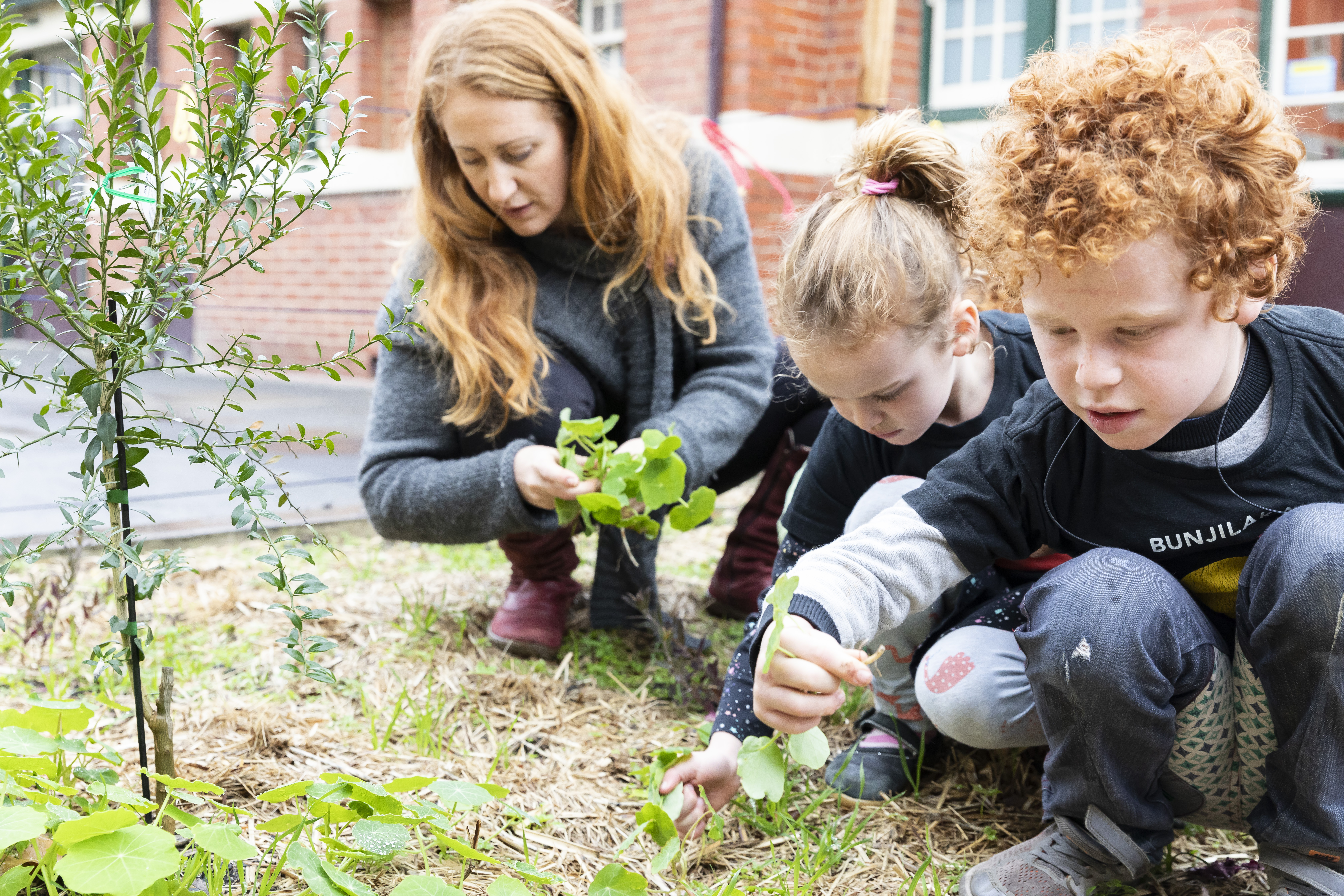 An adult and two children planting plants in garden
