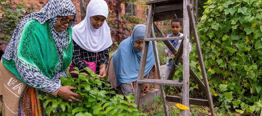 Three women in hijabs gardening in a community garden