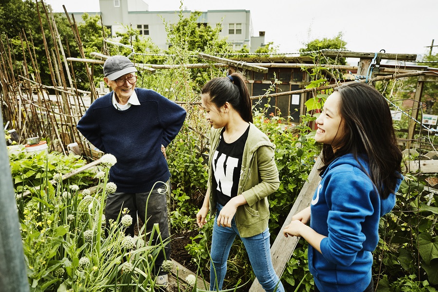 Two young female volunteers helping an elderly man in a garden 