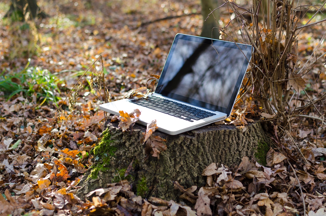 Laptop on a tree stump in a forest of leaves