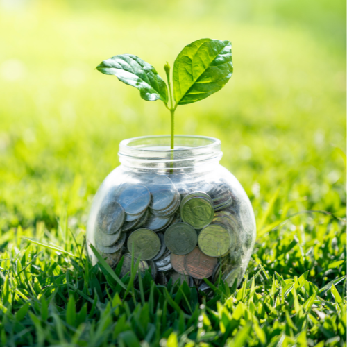 Jar of coins with a seedling growing out the top, placed on grass