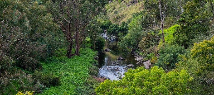 Aerial photo of the Yarra River at Yarra Bend Park