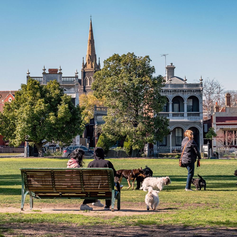 Image of people and their dogs socialising at Edinburgh Gardens, North Fitzroy