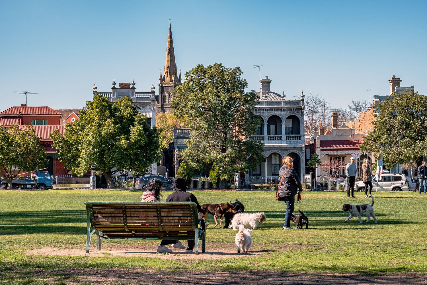 Image of people and their dogs socialising at Edinburgh Gardens, North Fitzroy