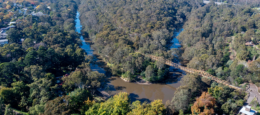 Aerial view of Yarra Bend Park. The image is of the river bend near Fairfield Boathouse with Fairfield Pipe Bridge pictured. The river is surrounded by bushland and minimal surrounding infrastructure and buildings.