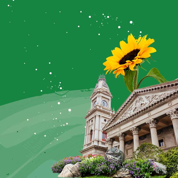 collage of town hall and sunflower against a green background