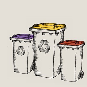 Illustration of a purple lid rubbish bin, yellow lid rubbish bin and red lid rubbish bin.