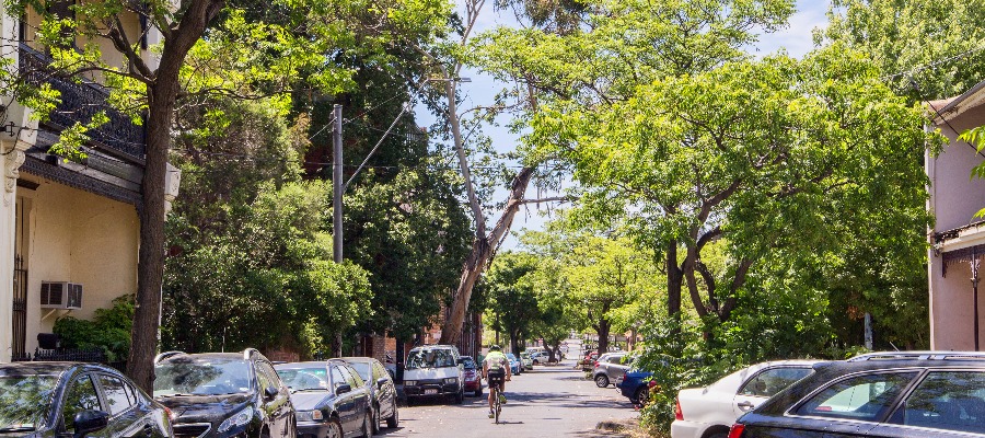 A person cycling through a leafy street