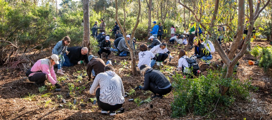 Yarra’s National Tree Day 2023 Boosts Biodiversity, Connectivity