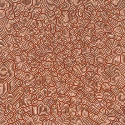 Kathleen Wightman artwork  'The Land & Aboriginal Country'. Clusters of white lines on a brown background