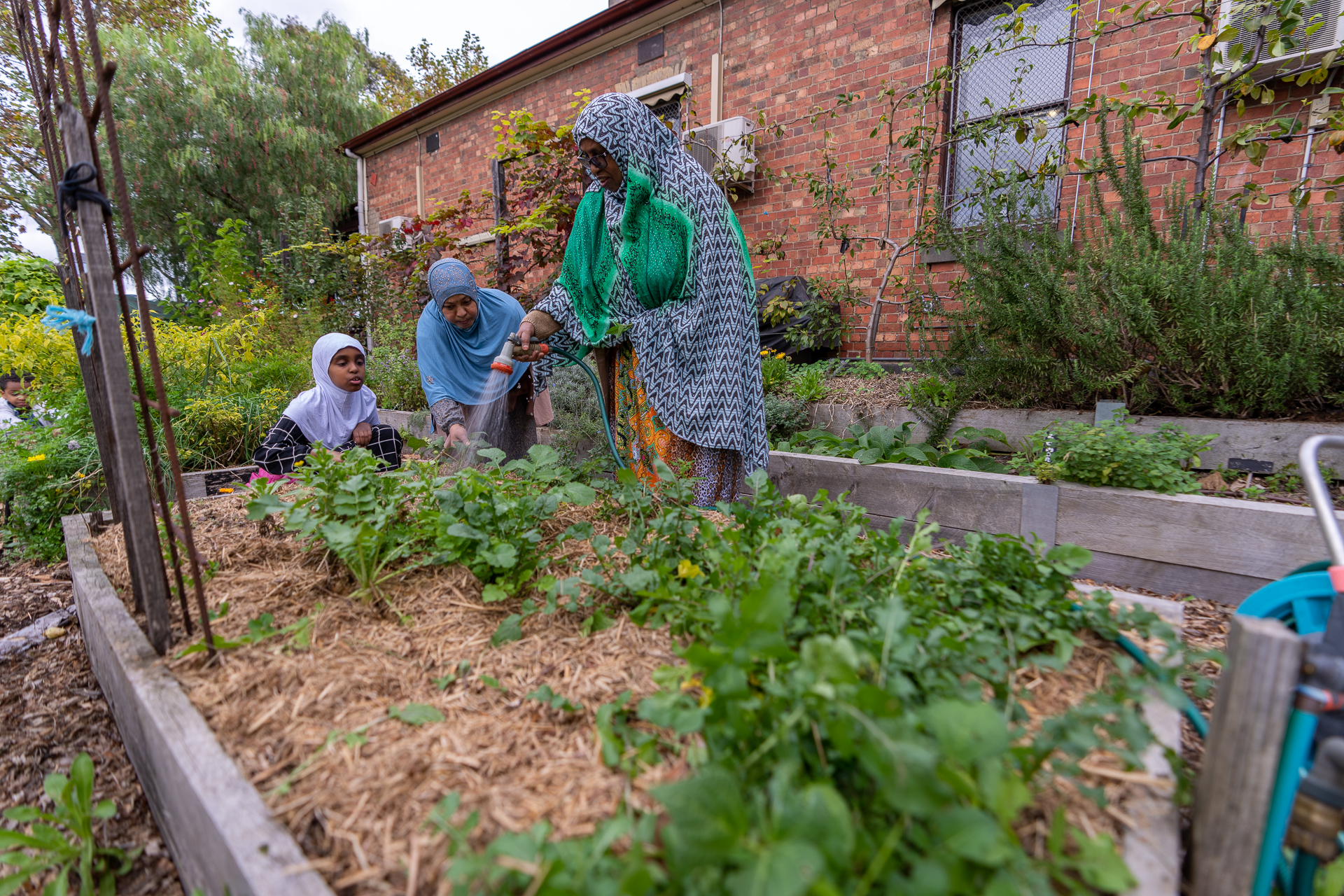 A veggie patch is in the foreground, with two women and a young girl standing at the rear, one of the women is watering the garden. 