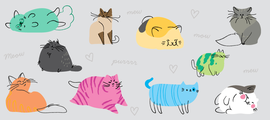Illustrated cats in a rainbow of colours, on a grey background. 