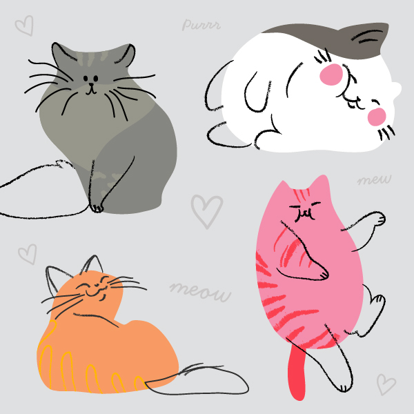 Four illustrated cats in a rainbow of colours, on a grey background. 