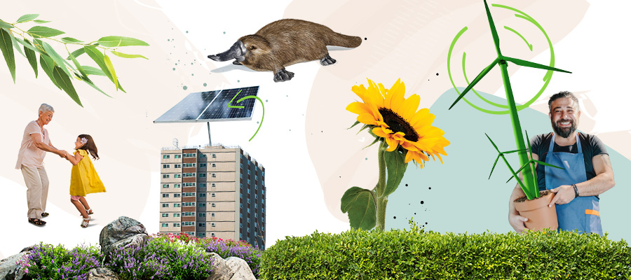 Collage design showing an elderly lady dancing with a girl, high-rise housing with solar panels on top of the roof, a platypus. a giant sunflower, a man holding a wind turbine in a plant pot.