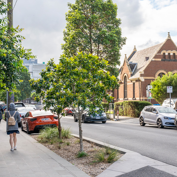 Streetscape of Cremorne Street with trees in the foreground and Bendigo Kangan Institute in the background