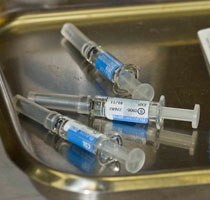 immunisation needles