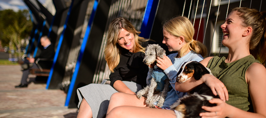 Three women sitting on a chair at a park laughing holding two small dogs