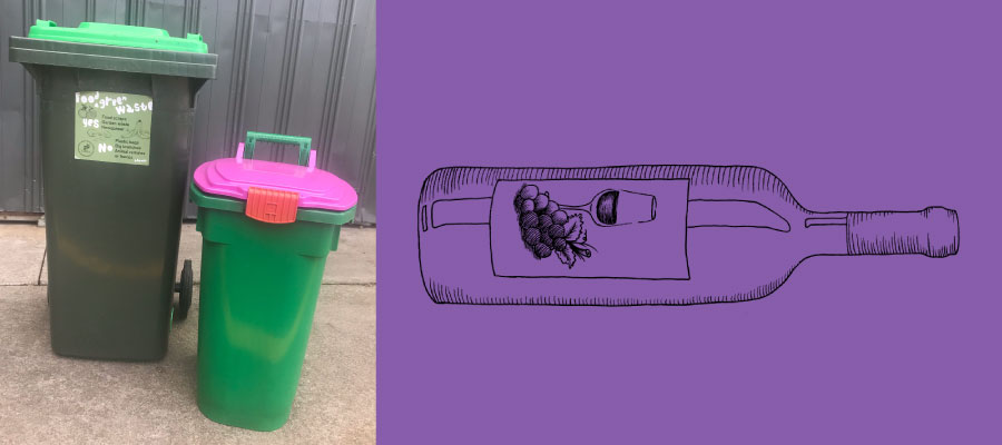 picture of green waste bin and mini bin with purple lid