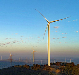 image of windfarm in regional Victoria