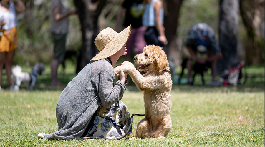 Lady in hat raising dog up on hind legs in park