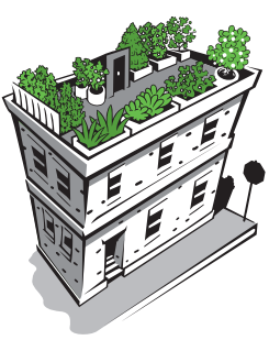 Cartoon of rooftop with plants