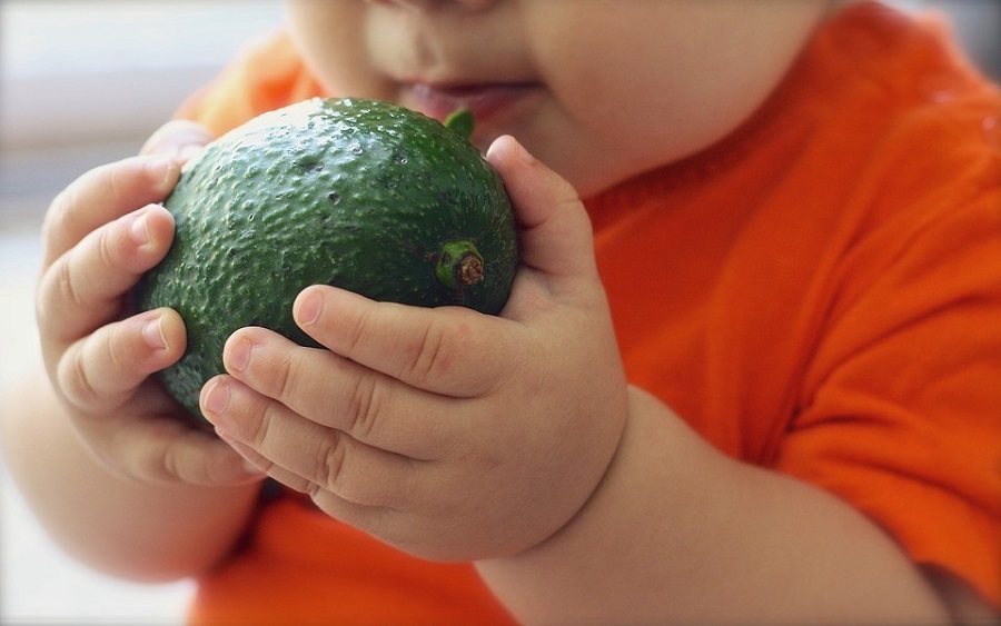 Toddler holding an avocado
