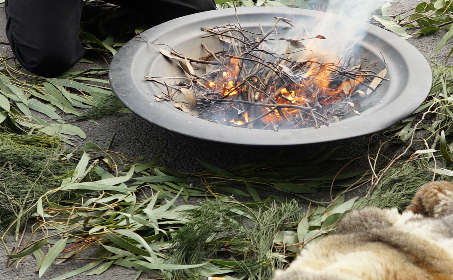 A fire pit surrounded by gum leaves
