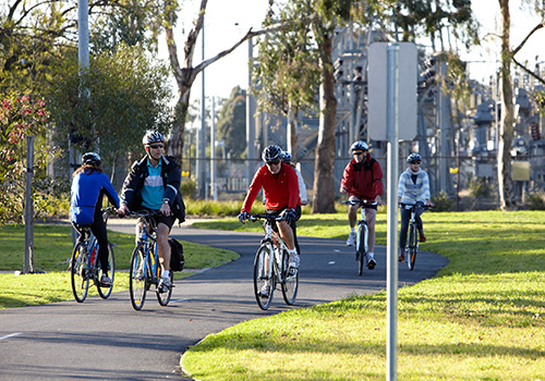 Group of cyclists riding in both directions along shared path