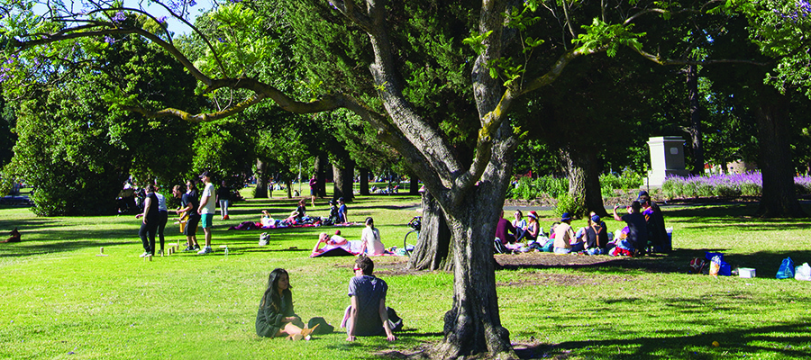People sitting under trees on a sunny day