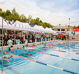 MS Mega Swim event at Fitzroy Swimming Pool
