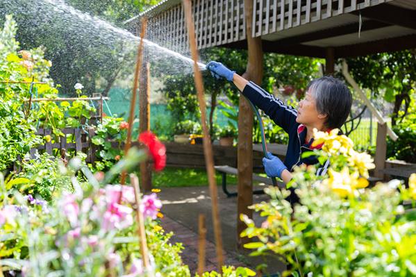 Woman watering cultivating communities garden with a hose