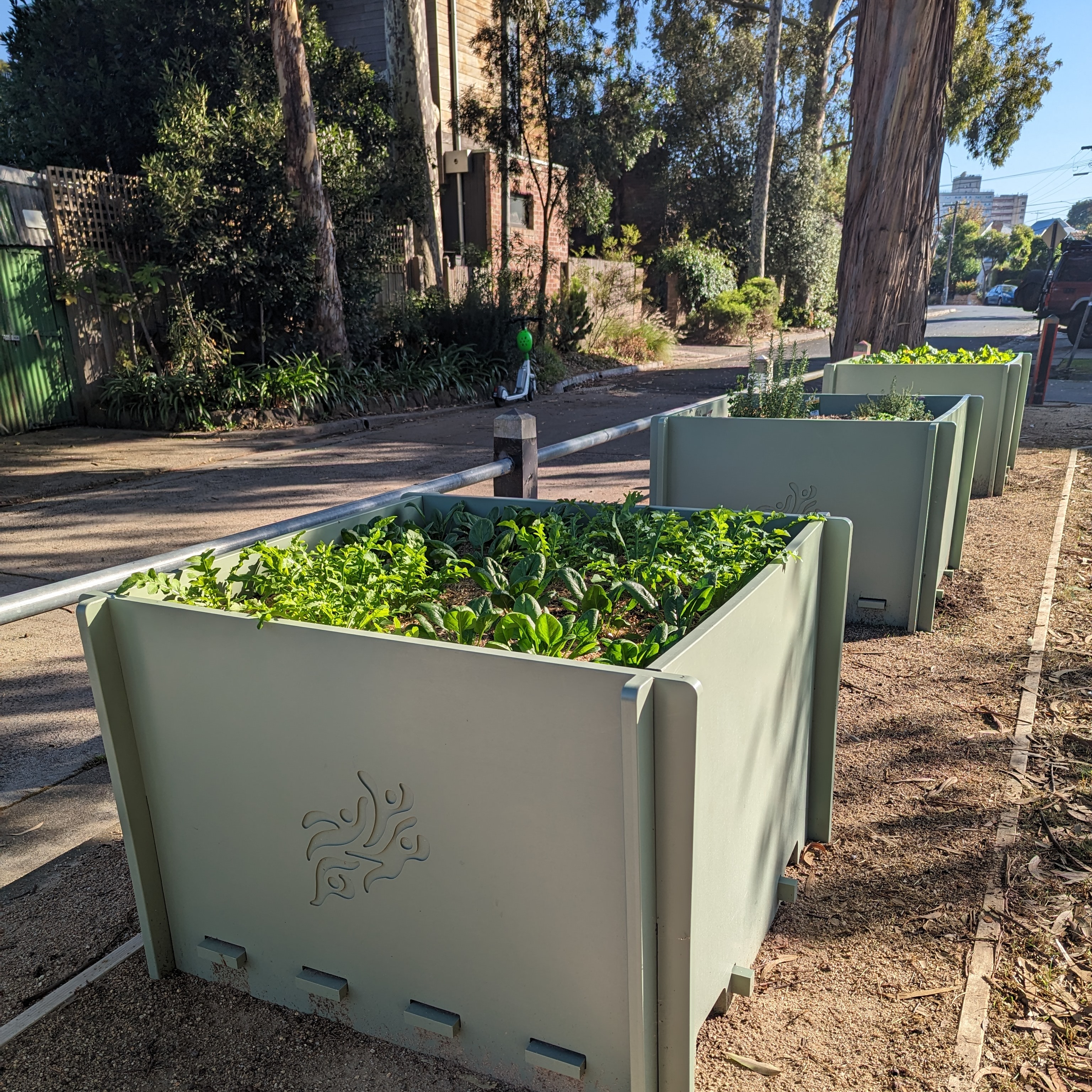 planter boxes with yarra city council branding along a walking track, with leafy greens growing in them. 