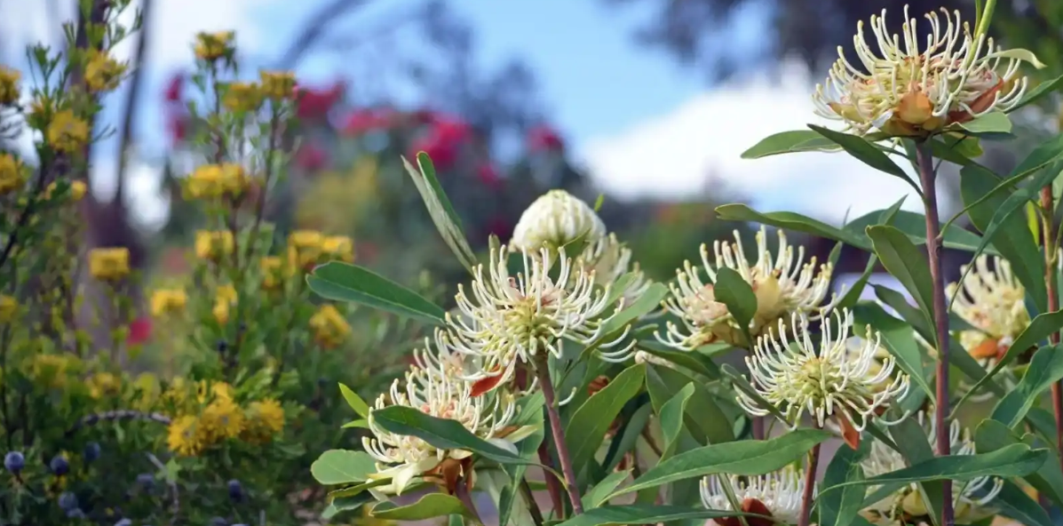 View of Apartment habitat gardens | Event, Yarra City Council
