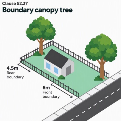 Planning Scheme Amendment Boundary Canopy Illustration