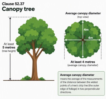 Planning Scheme Amendment Canopy Illustration