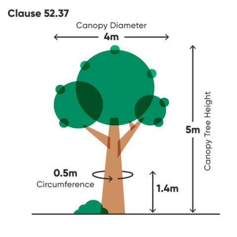 Planning Scheme Amendment Canopy Illustration